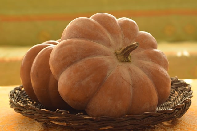 Free download vegetable pumpkins squash food free picture to be edited with GIMP free online image editor