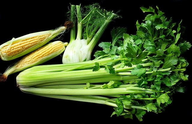 Free download Vegetables Celery Fennel -  free photo or picture to be edited with GIMP online image editor