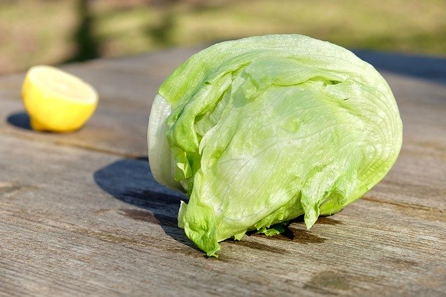 Muat turun percuma Vegetables Cooking Lettuce - foto atau gambar percuma untuk diedit dengan editor imej dalam talian GIMP