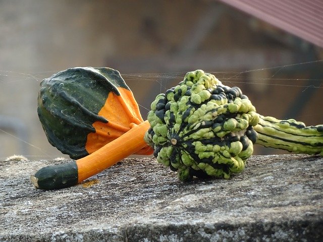 Kostenloser Download Gemüse Halloween Herbst - kostenloses Foto oder Bild zur Bearbeitung mit GIMP Online-Bildbearbeitung