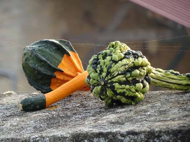 Free download Vegetables Halloween Fall -  free photo or picture to be edited with GIMP online image editor