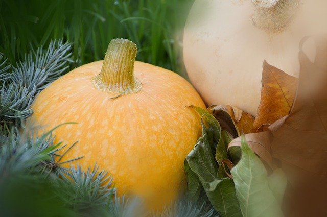 Free download Vegetables Pumpkin Orange free photo template to be edited with GIMP online image editor