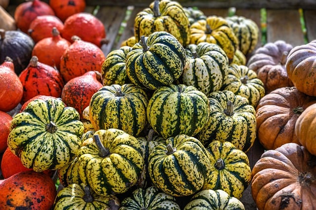 Free download vegetables vegan nourishment diet free picture to be edited with GIMP free online image editor