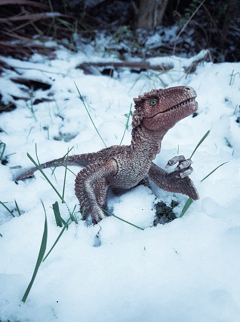 무료 다운로드 Velociraptor Raptor Dinosaur - 무료 사진 또는 김프 온라인 이미지 편집기로 편집할 수 있는 사진