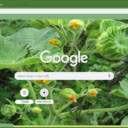 Velvetleaf  screen for extension Chrome web store in OffiDocs Chromium