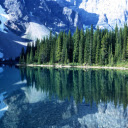 vertical forest  screen for extension Chrome web store in OffiDocs Chromium