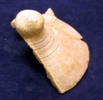 Free download Vessel Lid free photo or picture to be edited with GIMP online image editor