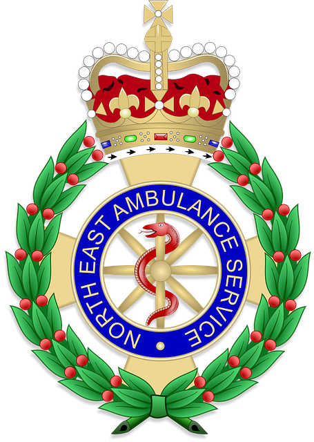 Free download Veteran Ambulance Capbadge -  free illustration to be edited with GIMP free online image editor