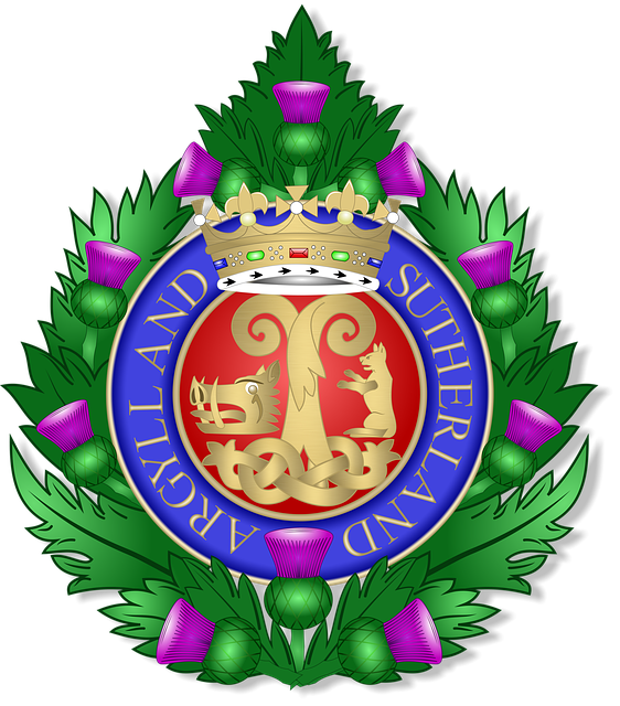 Free download Veteran Soldier Capbadge -  free illustration to be edited with GIMP free online image editor