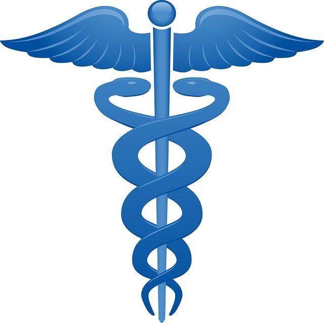 Free download Veterinarian Symbol Doctor -  free illustration to be edited with GIMP free online image editor
