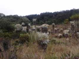 Free download Via Zetaquira - Pesca free photo or picture to be edited with GIMP online image editor