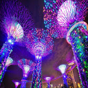 Vibrant Night Lights  screen for extension Chrome web store in OffiDocs Chromium