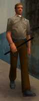 Free download Vice City Police Officer for MUGEN free photo or picture to be edited with GIMP online image editor