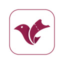 Vicensavings: Automatic Apply Codes  Get Gifts  screen for extension Chrome web store in OffiDocs Chromium
