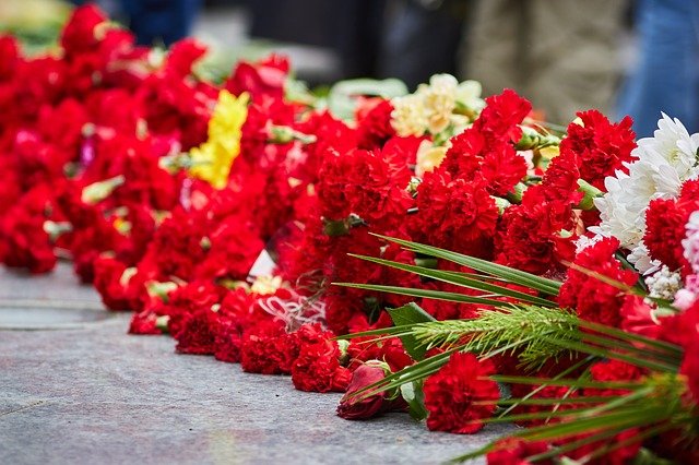 Free download victory day flowers memory free picture to be edited with GIMP free online image editor