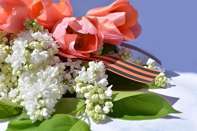 Free download victory day st george ribbon russia free picture to be edited with GIMP free online image editor