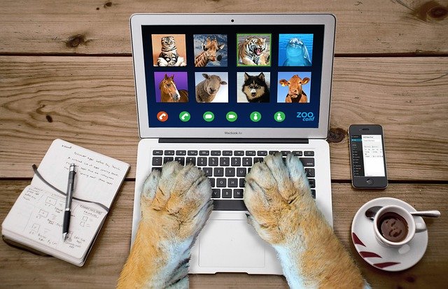 Free download video call video conference zoom free picture to be edited with GIMP free online image editor