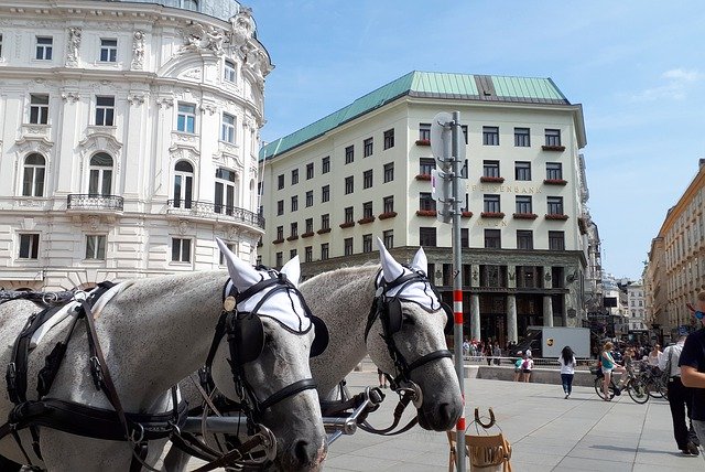 Free download Vienna Horse Fiaker Places Of -  free photo or picture to be edited with GIMP online image editor