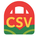 VietBridge CSV  screen for extension Chrome web store in OffiDocs Chromium