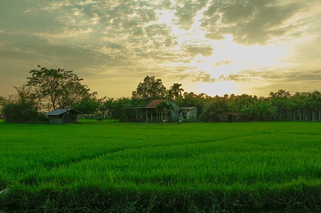 Kostenloser Download Vietnam-Landschaft - kostenloses Foto oder Bild zur Bearbeitung mit GIMP Online-Bildbearbeitung