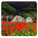 Vietnam New Tab Wallpaper  screen for extension Chrome web store in OffiDocs Chromium