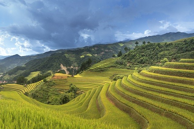 Free download vietnam rice field ha giang free picture to be edited with GIMP free online image editor
