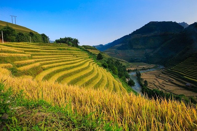 Descarga gratis la imagen gratuita del campo de arroz ha giang step de vietnam para editar con el editor de imágenes en línea gratuito GIMP