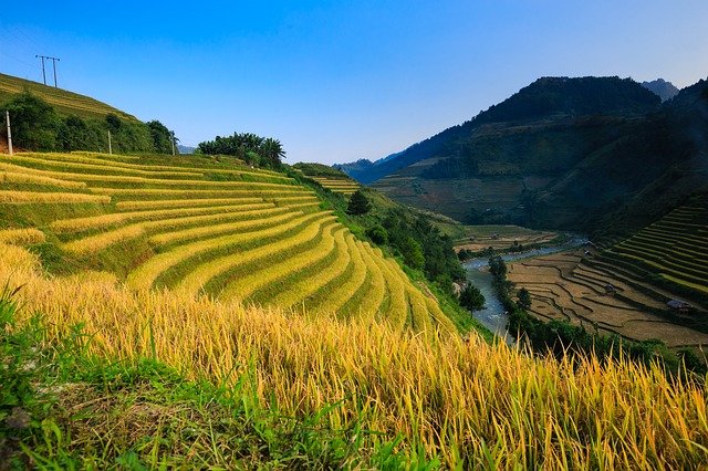 김프 무료 온라인 이미지 편집기로 편집할 베트남 논 ha giang 단계 무료 사진 무료 다운로드