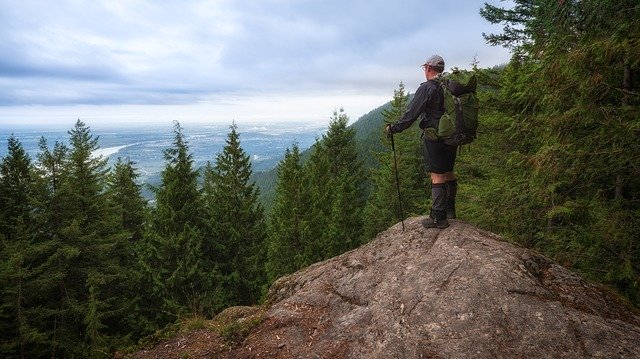 Téléchargement gratuit de View Man Forest - photo ou image gratuite à éditer avec l'éditeur d'images en ligne GIMP