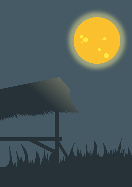 Free download View Nature Night - Free vector graphic on Pixabay free illustration to be edited with GIMP free online image editor
