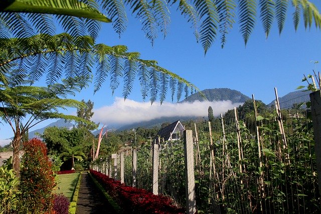 Unduh gratis Village Bali Indonesia - foto atau gambar gratis untuk diedit dengan editor gambar online GIMP