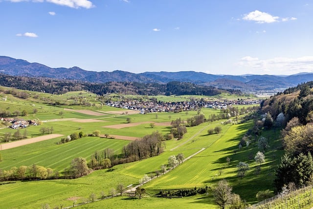Free download village field black forest outlook free picture to be edited with GIMP free online image editor
