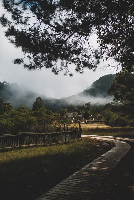 Free download village nature fog road wilderness free picture to be edited with GIMP free online image editor
