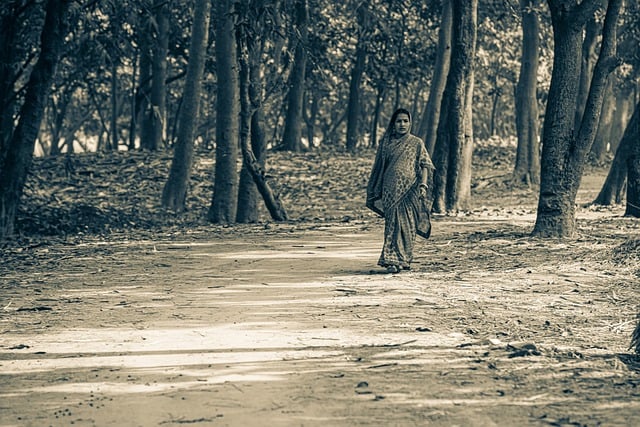 Free download village villager road bihar india free picture to be edited with GIMP free online image editor
