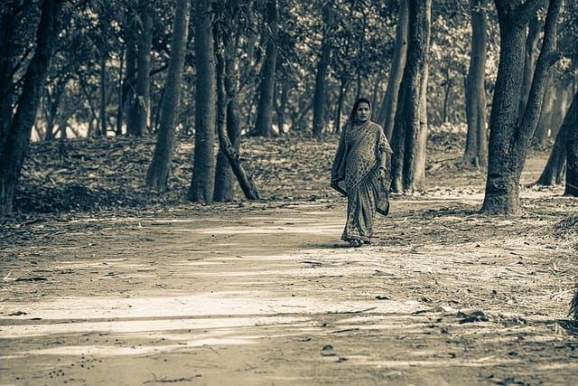 ดาวน์โหลดรูปภาพฟรีของ Village Villager Road Bihar อินเดียเพื่อแก้ไขด้วยโปรแกรมแก้ไขรูปภาพออนไลน์ฟรี GIMP