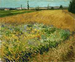 Free download Vincent Van Gogh, Wheatfield free photo or picture to be edited with GIMP online image editor