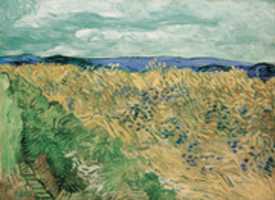 Free download Vincent Van Gogh, Wheatfield With Cornflowers free photo or picture to be edited with GIMP online image editor
