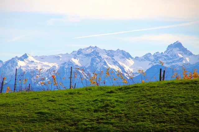 Free download vineyard hill mountains autumn free picture to be edited with GIMP free online image editor