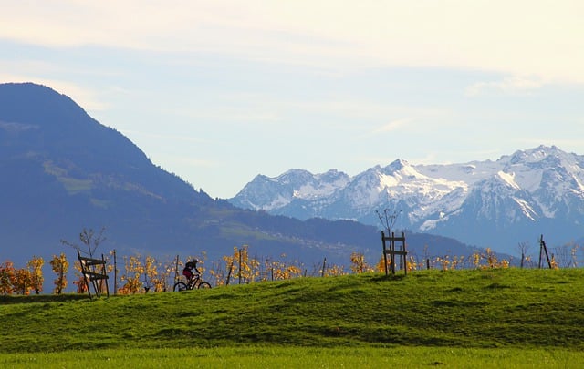 Téléchargement gratuit d'une image gratuite de prairie de montagnes de colline de vignoble à modifier avec l'éditeur d'images en ligne gratuit GIMP