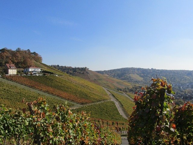 Ücretsiz indir Vineyard Landscape Panorama - GIMP çevrimiçi resim düzenleyiciyle düzenlenecek ücretsiz fotoğraf veya resim