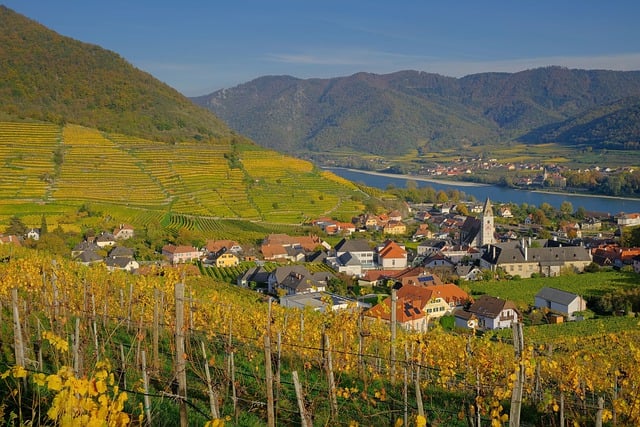 Téléchargement gratuit de l'image gratuite du paysage de la nature du village viticole à éditer avec l'éditeur d'images en ligne gratuit GIMP