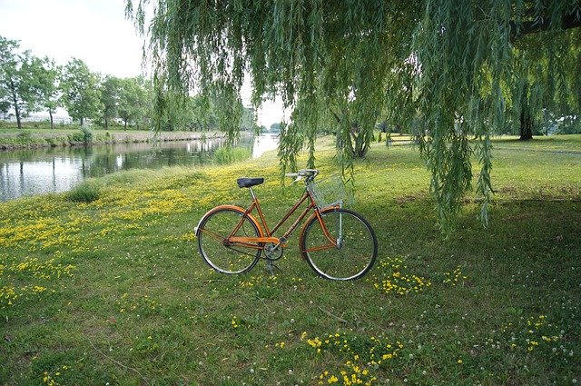 Descarga gratuita Vintage Bicycle Bike: foto o imagen gratuitas para editar con el editor de imágenes en línea GIMP