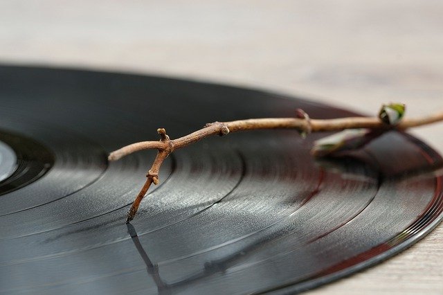 Kostenloser Download Vinyl-Schallplatte Vinyl analoges kostenloses Bild, das mit dem kostenlosen Online-Bildeditor GIMP bearbeitet werden kann