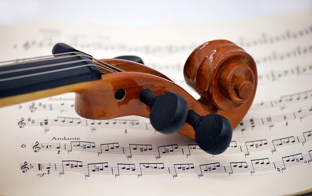 Free download violin musical instrument instrument free picture to be edited with GIMP free online image editor