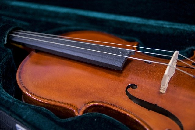 Free download Violin Musical Instruments -  free photo or picture to be edited with GIMP online image editor