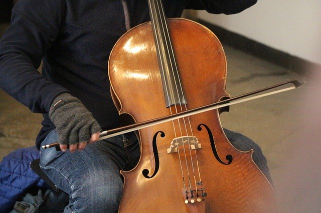 Free download Violin Musician Music -  free photo or picture to be edited with GIMP online image editor