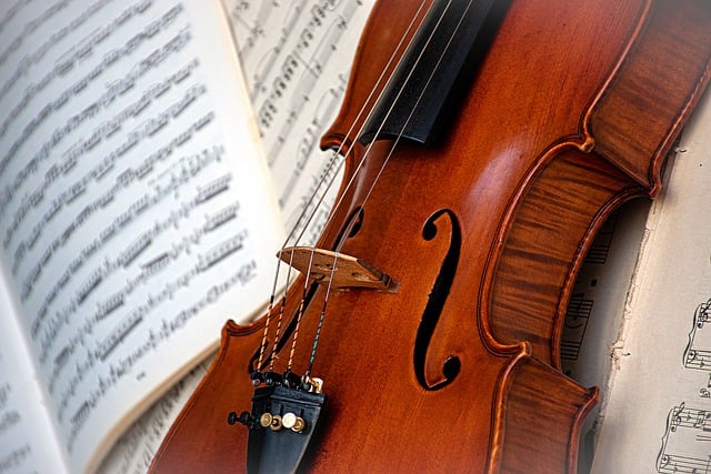 Free download violin orchestra music free picture to be edited with GIMP free online image editor