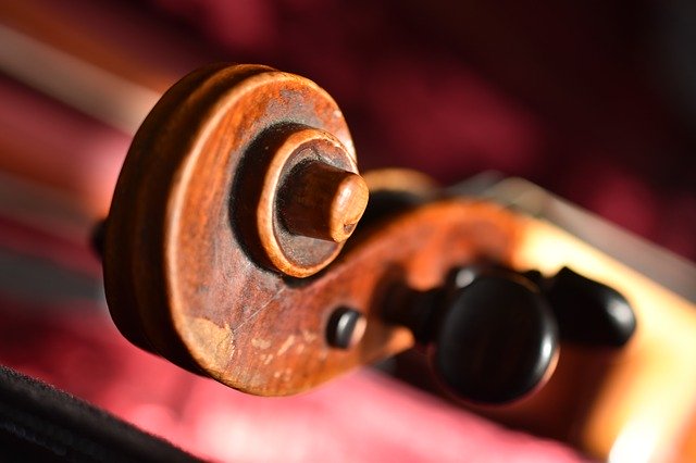 Free download Violin Snail Worm -  free photo or picture to be edited with GIMP online image editor