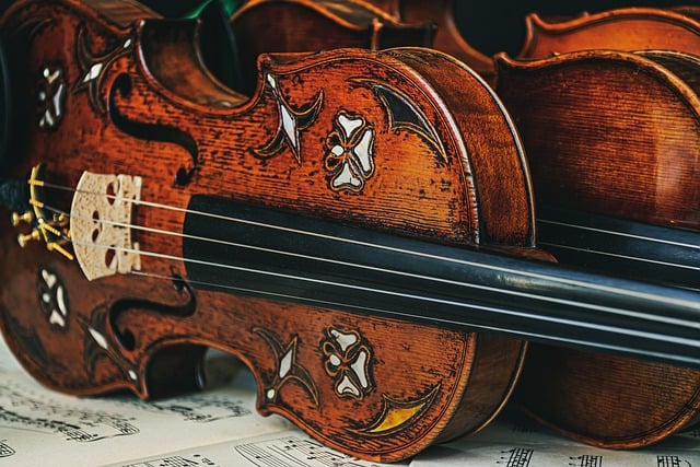 Free download violins orchestra viola free picture to be edited with GIMP free online image editor