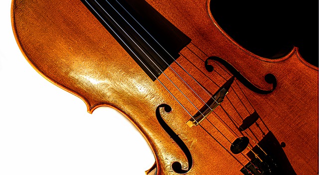Free download violin strings music instrument free picture to be edited with GIMP free online image editor